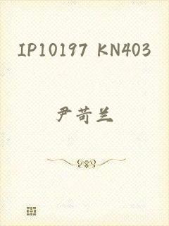 IP10197 KN403